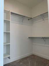 Spacious walk-in closets with carpet