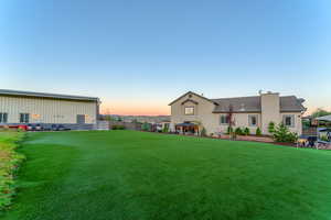 Astro-Turf yard for lots of play and easy maintenance.