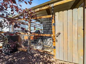 Chicken Coop