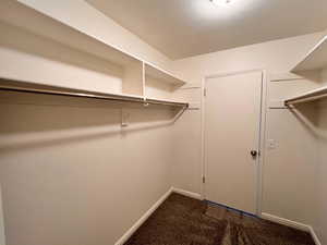 Spacious closet with carpet flooring