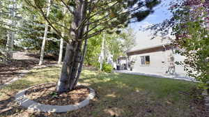 View of yard with a patio area