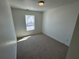 Empty room with carpet flooring and a textured ceiling