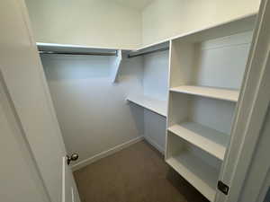 Walk in closet with carpet