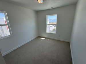 Empty room with a textured ceiling, plenty of natural light, and carpet floors