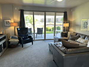 Living room with carpet flooring, plenty of natural light, and a textured ceiling