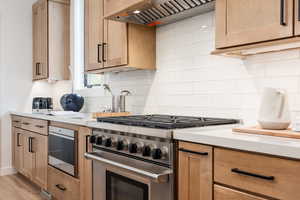 Kitchen featuring premium range hood, appliances with stainless steel finishes, light wood-type flooring, and tasteful backsplash