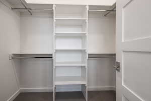 View of walk in closet