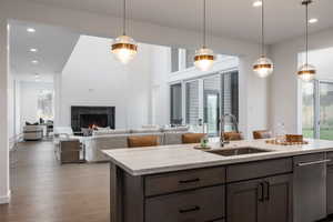 Kitchen with wood-type flooring, sink, a large fireplace, and hanging light fixtures