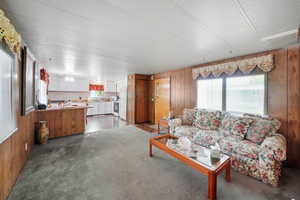 Carpeted living room with a textured ceiling and wood walls