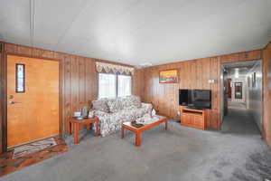 Carpeted living room featuring wooden walls