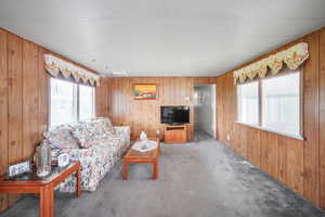 Living room with a wealth of natural light, wood walls, and carpet