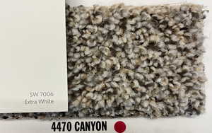 Carpet and Paint Color