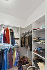 Walk in closet with carpet flooring