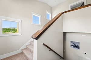 Stairs featuring plenty of natural light and carpet flooring