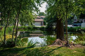 View of pond with fountain