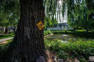 View of property's community featuring a pond with a fountain in a secluded wooded area visible from this unit's porch