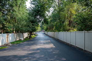 View of secluded entry road