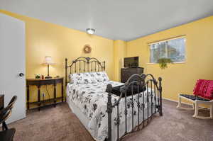 Primary Bedroom with carpet and natural light