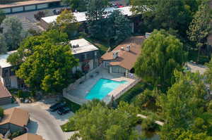 Bird's eye view of pool and club house