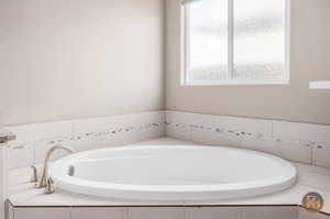 Master Bathroom with tiled tub