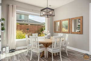 Dining space featuring a notable chandelier, wood-type flooring, and plenty of natural light