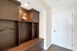 Mudroom entry featuring dark wood built in cabinets