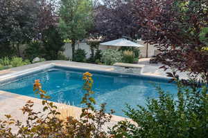 View of swimming pool featuring a patio