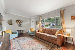 Living room with ornamental molding and dark wood-type flooring