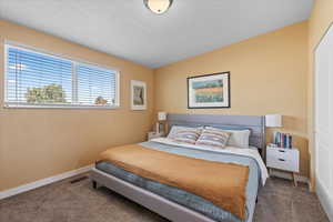 Bedroom with dark colored carpet