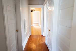 Hall with hardwood / wood-style flooring