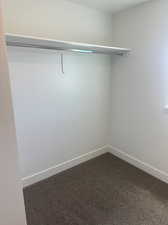 Spacious closet featuring carpet flooring