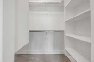 Walk in closet with carpet flooring