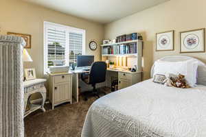 Bedroom with dark colored carpet