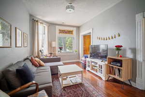 Living room featuring a textured ceiling and wood-type flooring