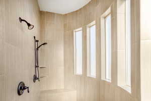 Interior details with tiled shower