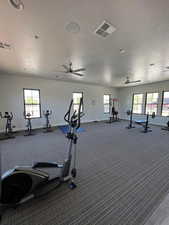 Workout area with plenty of natural light and ceiling fan