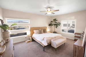 Carpeted bedroom featuring ceiling fan and multiple windows