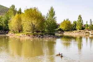 View of water feature