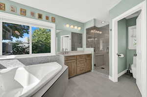 Full bathroom featuring vanity, toilet, a healthy amount of sunlight, and shower with separate bathtub