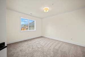 Empty room with carpet flooring, ornamental molding, and a textured ceiling