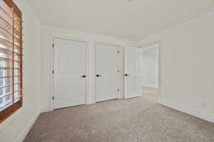 Unfurnished bedroom with crown molding and light colored carpet