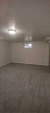 Basement with carpet