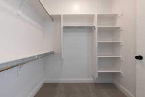 Spacious closet with dark carpet