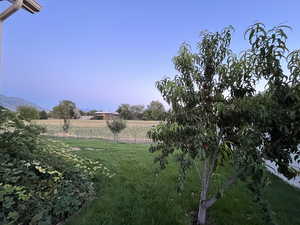 View of yard with a rural view