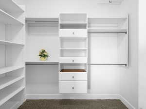 Spacious closet featuring carpet and shelving