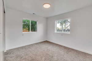 Empty room with a wealth of natural light and carpet floors