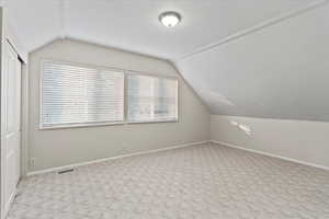 Additional living space featuring lofted ceiling, a textured ceiling, light carpet, and a healthy amount of sunlight