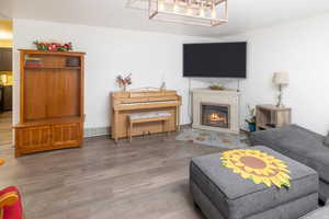 Living room featuring wood-style flooring