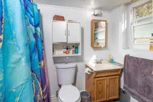 Bathroom featuring a shower with curtain, toilet, and vanity