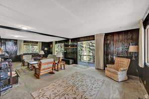 Living room with a textured ceiling, plenty of natural light, carpet flooring, and wooden walls